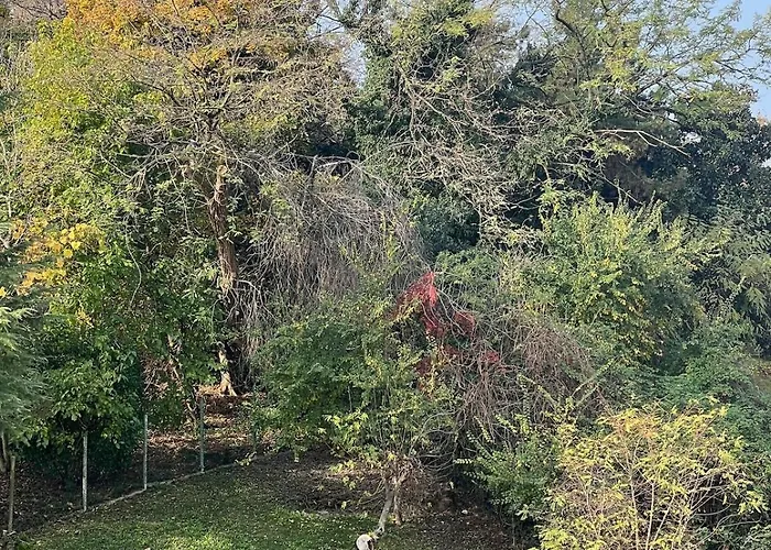 Sparkling Nest Apartman Conegliano